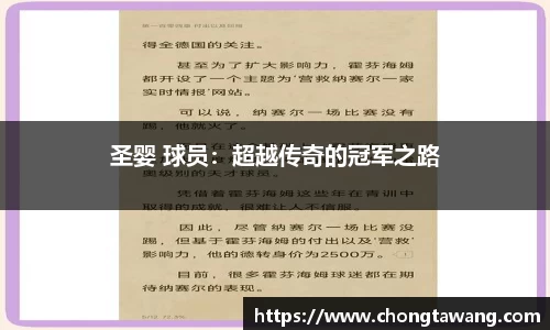 圣婴 球员：超越传奇的冠军之路