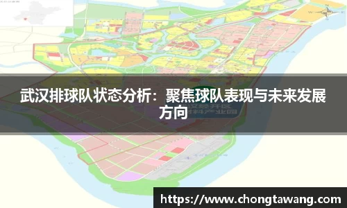 武汉排球队状态分析：聚焦球队表现与未来发展方向